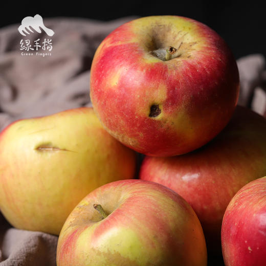 有机沙漠苹果瑕疵果（不售后）| 合作生产 * Organic Desert Apple Defective Fruit | Partner Production 商品图1
