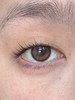 Puff girl日抛美瞳 奶油凯蒂 14.2mm 商品缩略图3