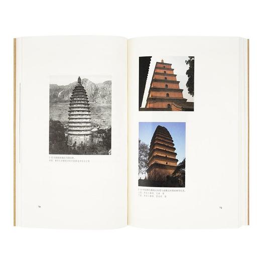 《塔窟东来》中国古代工匠如何“翻译引进”天竺建筑  王南 建筑史诗 商品图1
