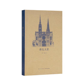 《拱尖天堂》 全球哥特建筑大巡礼  王南 建筑史诗