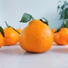 新鲜水果 果寻梦耙耙柑小件  1件/净重4斤左右 商品缩略图3