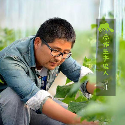 生态荠菜（预售 1周内发货）| 合作生产*Ecological shepherd's purse | Coproduction 商品图4