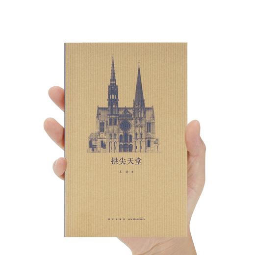 《拱尖天堂》 全球哥特建筑大巡礼  王南 建筑史诗 商品图5