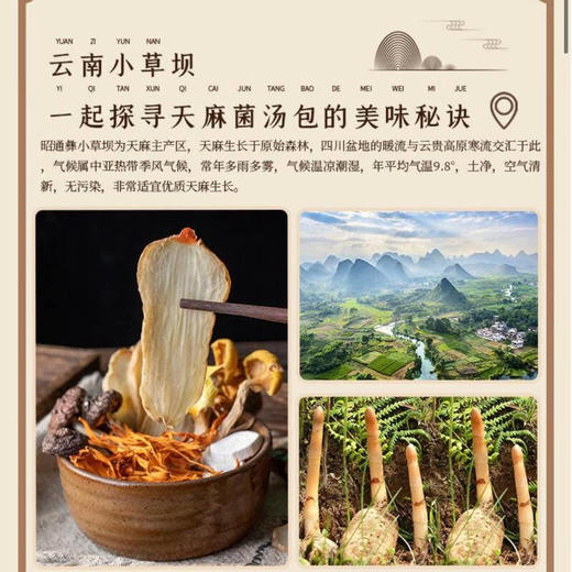 天麻赤松松茸汤包100g/盒*2 商品图1