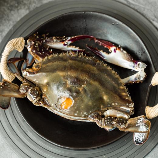 至鲜咸膏蟹 （已生腌  解冻即食）200g-300g/只    膏红软糯·蟹肉净透·醇香鲜咸 商品图6