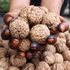 云南乌米核桃 商品缩略图5