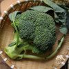 生态西蓝花/花椰菜（陆运包邮） | 绿家自产*ecological broccoli | Self-production 商品缩略图3