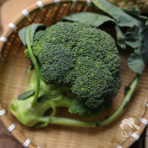 生态西蓝花/花椰菜（陆运包邮） | 绿家自产*ecological broccoli | Self-production 商品图3