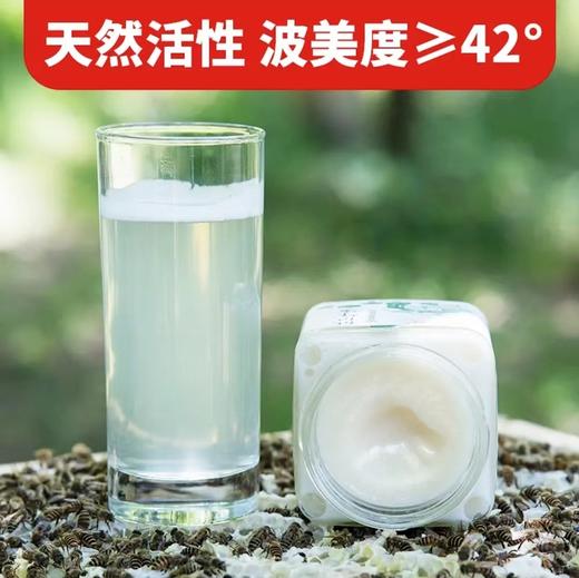 【严选】【色亮如玉 蜜感丝滑细腻 自然成熟 天然活性】水镜蜂情枇杷蜂蜜500g/瓶（厂家直发） 商品图3