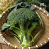 生态西蓝花/花椰菜（陆运包邮） | 绿家自产*ecological broccoli | Self-production 商品缩略图4
