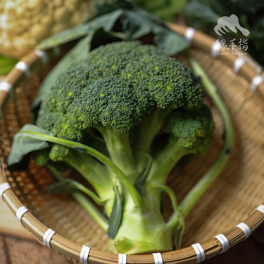 生态西蓝花/花椰菜（陆运包邮） | 绿家自产*ecological broccoli | Self-production 商品图4