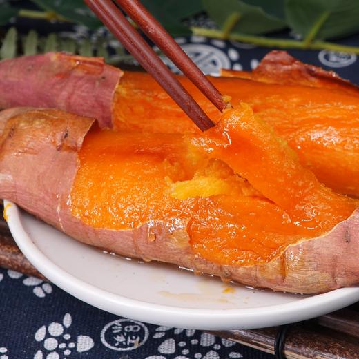 【C】山东精选糖心蜜薯约5.5斤 商品图4