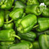 生态菜椒/韶关本地辣椒 | 绿家自产*ecological green bell pepper | Self-production 商品缩略图2