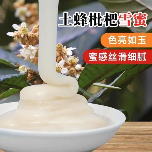 【严选】【色亮如玉 蜜感丝滑细腻 自然成熟 天然活性】水镜蜂情枇杷蜂蜜500g/瓶（厂家直发） 商品图2