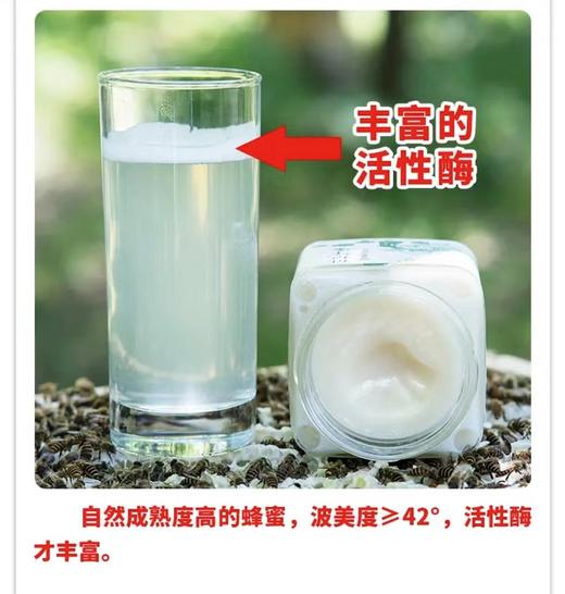 【严选】【色亮如玉 蜜感丝滑细腻 自然成熟 天然活性】水镜蜂情枇杷蜂蜜500g/瓶（厂家直发） 商品图4