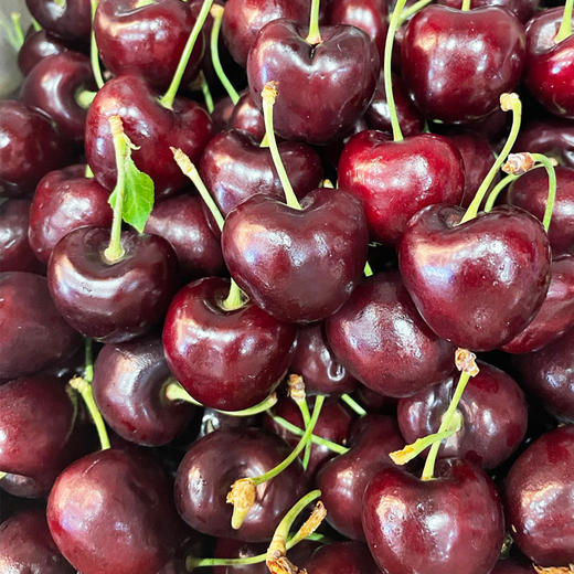 【单J】进口车厘子  500g/份（鲜脆多汁 香甜爽口） 商品图0