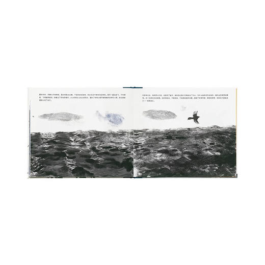 当喜鹊国王失去白羽毛 读小库 商品图3