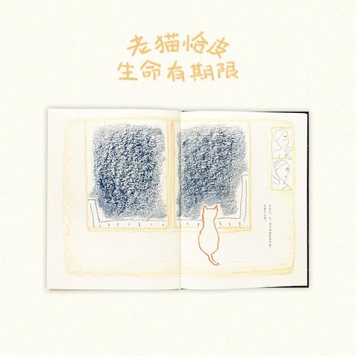 《小猫恰皮》读小库 商品图3