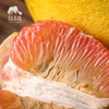 生态翡翠青柚（中通或极兔快递,买赠优惠）| 合作生产* Ecological Emerald Green Pomelo | Partner Production 商品缩略图2