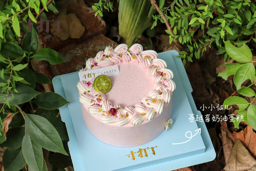 4英寸蛋糕·柔软丨浮云沁心（款式可选） 商品图4