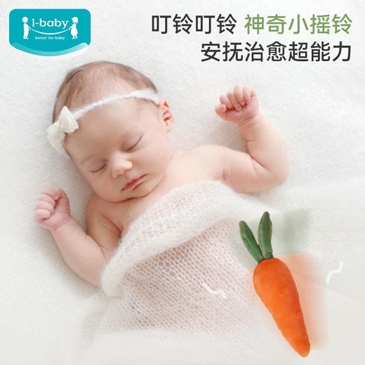 【秒杀】【ibaby×outlast太空科技恒温毛绒安抚摇铃玩偶】四小叮当玩偶套装-硕果芬芳(四件套) 商品图4