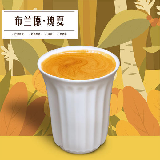 布兰德瑰夏·美式咖啡 商品图2