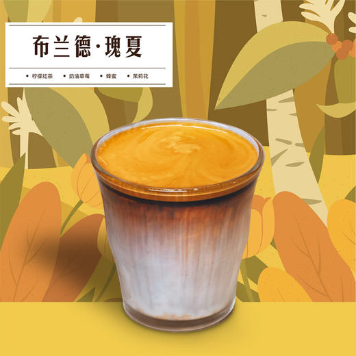 布兰德瑰夏·Dirty 商品图1