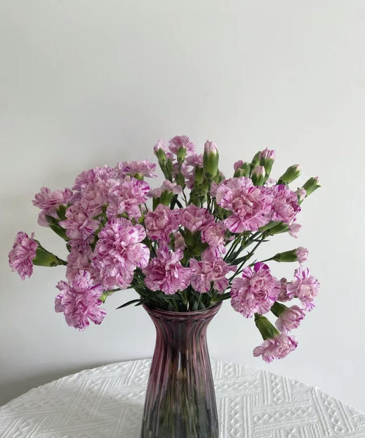 【稀有系列】多丁康乃馨-棒棒糖 约20枝/扎 商品图1