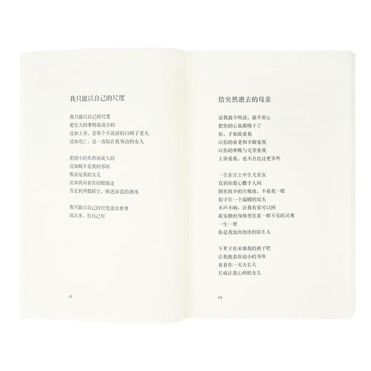 《不如让每天发生些小事情》海桑新诗集 商品图3