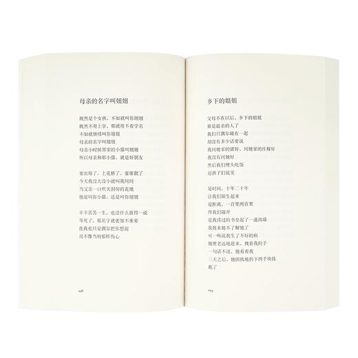 海桑诗集《我是你流浪过的一个地方》读库出品 商品图4