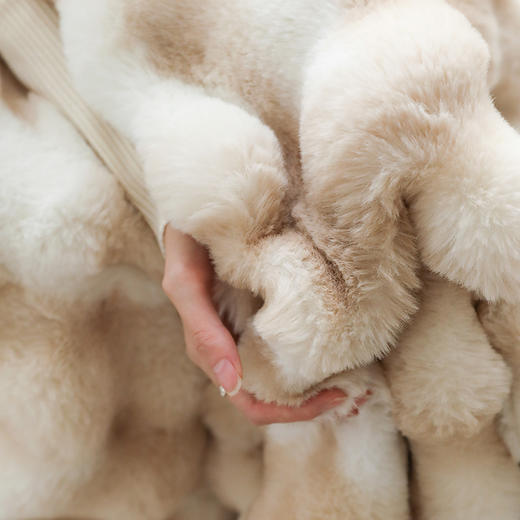 【换季出清】自然醒托斯卡纳法式轻奢保暖仿皮草扎染色毛毯沙发盖毯午睡盖被冬季加厚毯子MT 商品图7