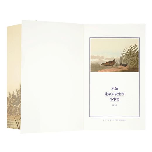 《不如让每天发生些小事情》海桑新诗集 商品图2