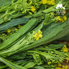 生态迟菜心 | 绿家自产 * Eco-choy sum | Self-production 商品缩略图1