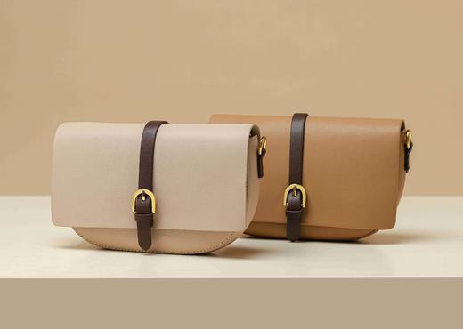 时尚配色美拉德色系托特斜跨包T31DA46361 商品图10