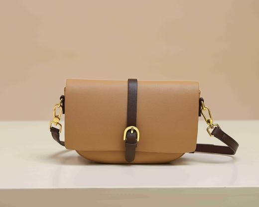 时尚配色美拉德色系托特斜跨包T31DA46361 商品图8