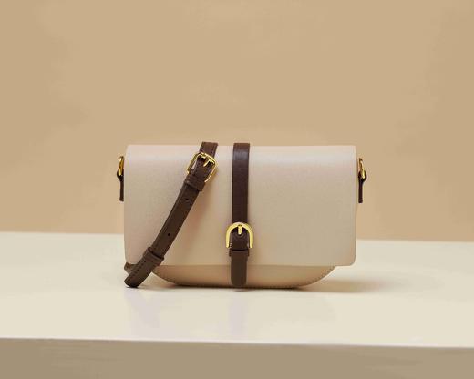 时尚配色美拉德色系托特斜跨包T31DA46361 商品图0