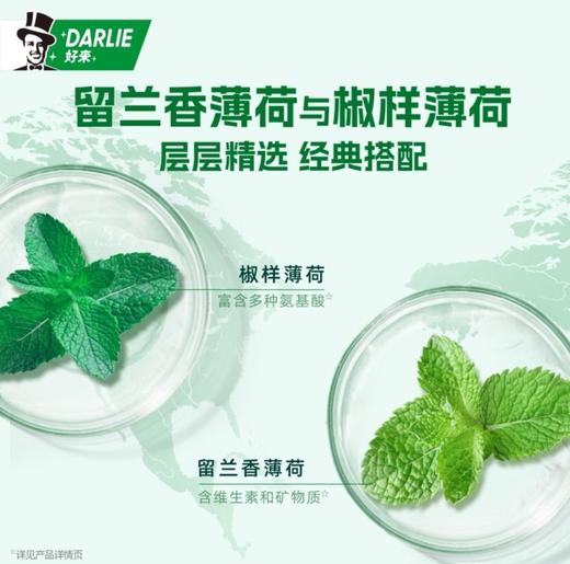 【好来】双重薄荷牙膏 90g | 清新口气·持久呵护 | DARLIE经典 商品图4