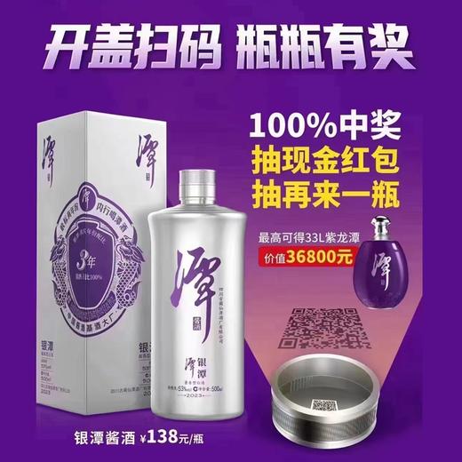 [白酒]潭酒银酱53°500ML 商品图1