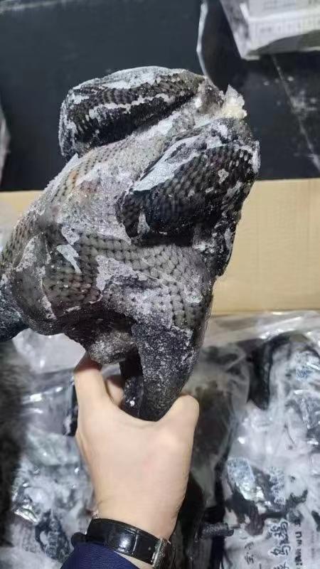 乌鸡三只 商品图2