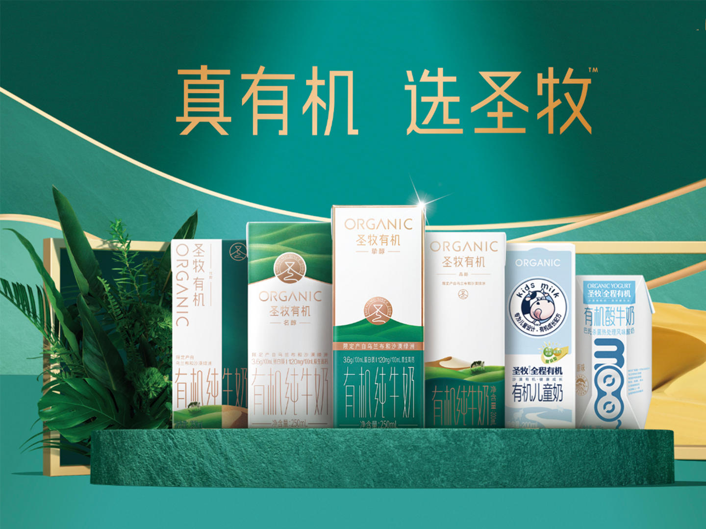 存量竞争时代,DTC品牌「圣牧有机」如何打造健康、信任、可持续的用户心智?