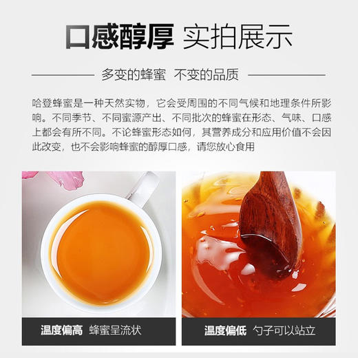 澳大利亚进口哈登蜂蜜500g 商品图3