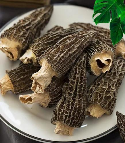 苏陕羊肚菌50g 商品图1