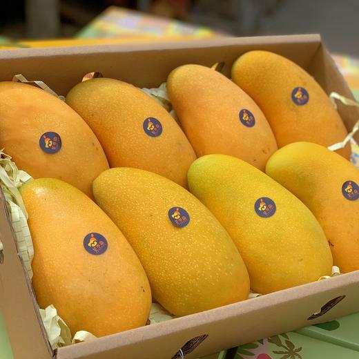 海南三亚树上熟金煌芒 芒果 青吃酸脆可口/黄吃纯甜无酸 商品图3