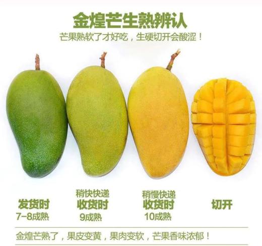 海南三亚树上熟金煌芒 芒果 青吃酸脆可口/黄吃纯甜无酸 商品图5