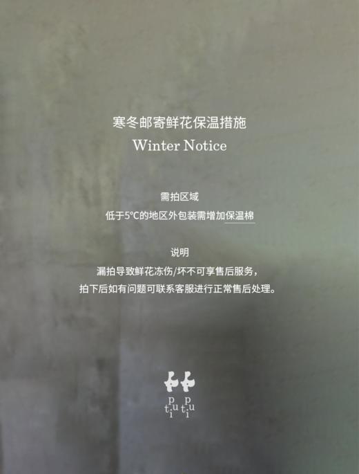 浮光跃金 Glistening Time 商品图4