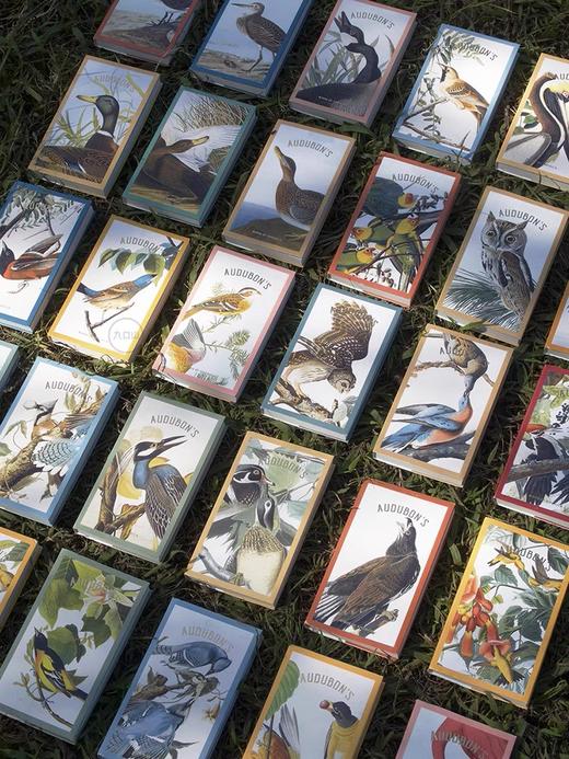 布鲁克林博物馆×九口山 奥杜邦美洲鸟类系列 商品图0
