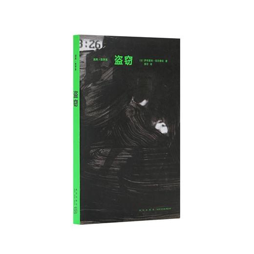 读库哲学系译丛：盗窃 商品图0
