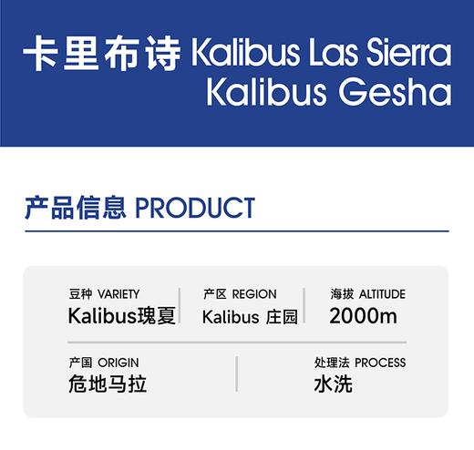 卡里布诗｜花香柑橘调性 平价瑰夏 商品图3