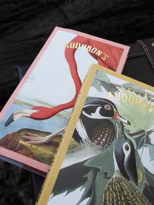 布鲁克林博物馆×九口山 奥杜邦美洲鸟类系列 商品图1