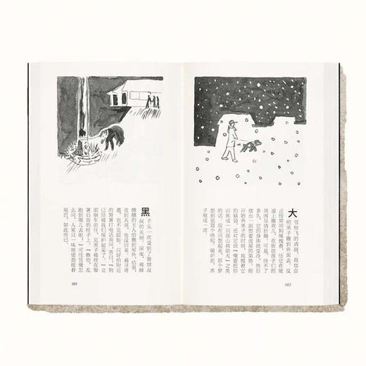 黑子日记 由狗狗和家族无可替代的日子连缀而成的画文集（日）泽野公 著 商品图1
